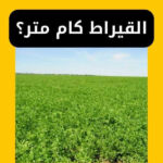 القيراط كام متر؟ مساحة القيراط كم يساوي؟