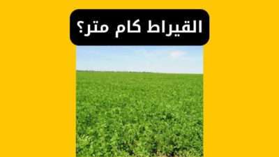 القيراط كام متر؟ مساحة القيراط كم يساوي؟