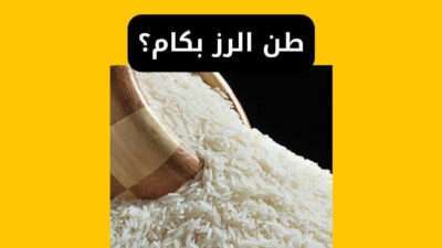 طن الرز بكام؟ سعر طن الأرز الشعير اليوم