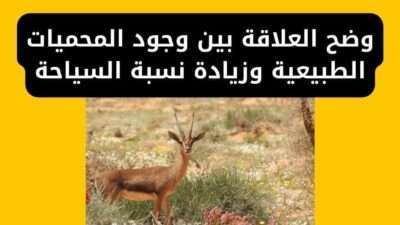 وضح العلاقة بين وجود المحميات الطبيعية وزيادة نسبة السياحة
