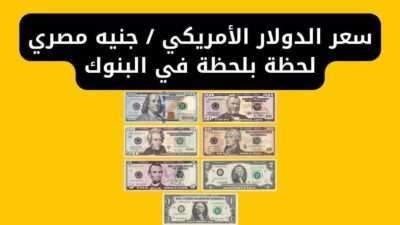 سعر الدولار الأمريكي - جنيه مصري لحظة بلحظة في البنوك