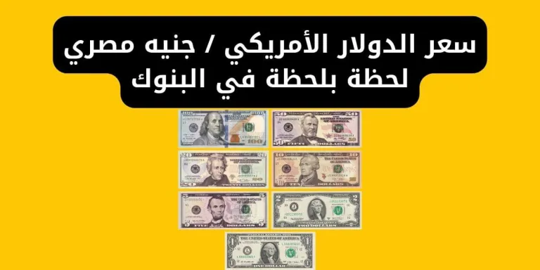 سعر الدولار الأمريكي - جنيه مصري لحظة بلحظة في البنوك