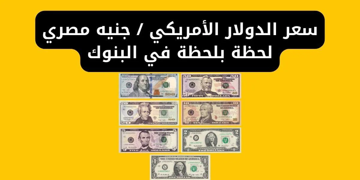 سعر الدولار الأمريكي - جنيه مصري لحظة بلحظة في البنوك