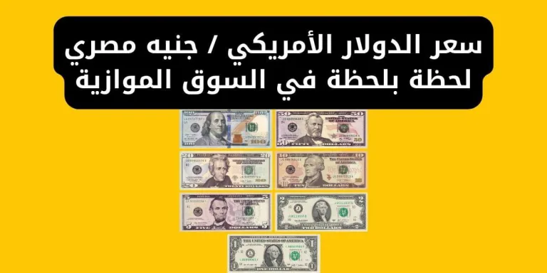 سعر الدولار الأمريكي مقابل جنيه مصري لحظة بلحظة في السوق الموازية