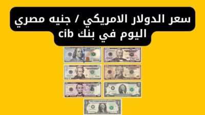 سعر الدولار الامريكي - جنيه مصري اليوم في بنك cib