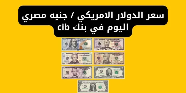 سعر الدولار الامريكي - جنيه مصري اليوم في بنك cib