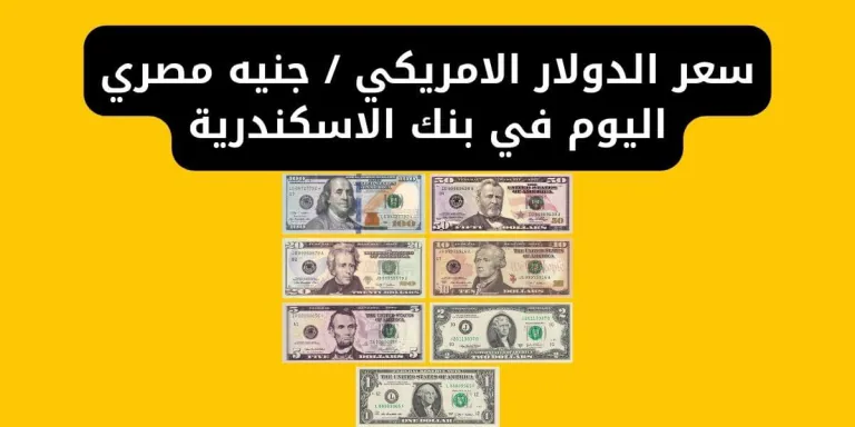 سعر الدولار الامريكي - جنيه مصري اليوم في بنك الاسكندرية