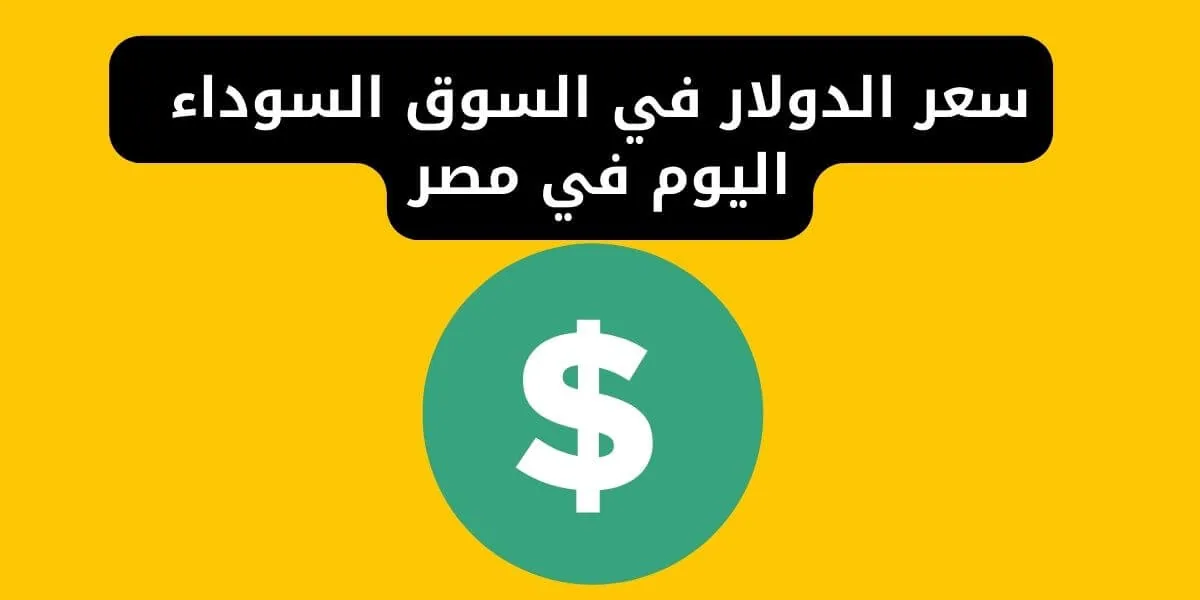 سعر الدولار في السوق السوداء مصر اليوم لحظة بلحظة