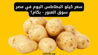 سعر كيلو البطاطس اليوم في مصر سوق العبور - بكام؟