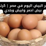 سعر البيض اليوم في مصر | كرتونة بيض احمر وابيض وبلدي