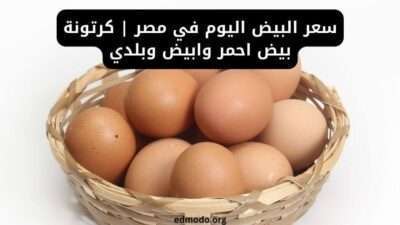 سعر البيض اليوم في مصر | كرتونة بيض احمر وابيض وبلدي