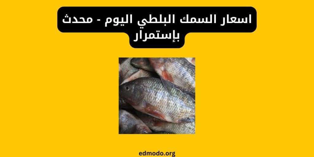 اسعار السمك البلطي اليوم - محدث بإستمرار