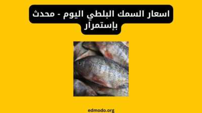 اسعار السمك البلطي اليوم - محدث بإستمرار