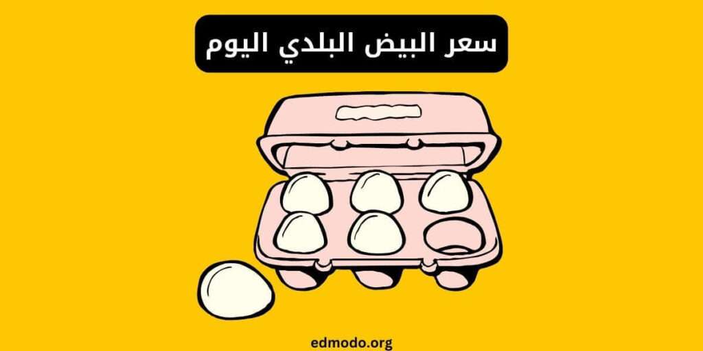 سعر البيض البلدي اليوم
