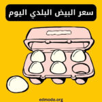 سعر البيض البلدي اليوم