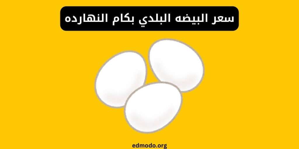 سعر البيضه البلدي بكام النهارده