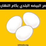 سعر البيضه البلدي بكام النهارده