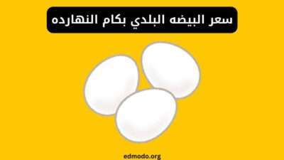 سعر البيضه البلدي بكام النهارده