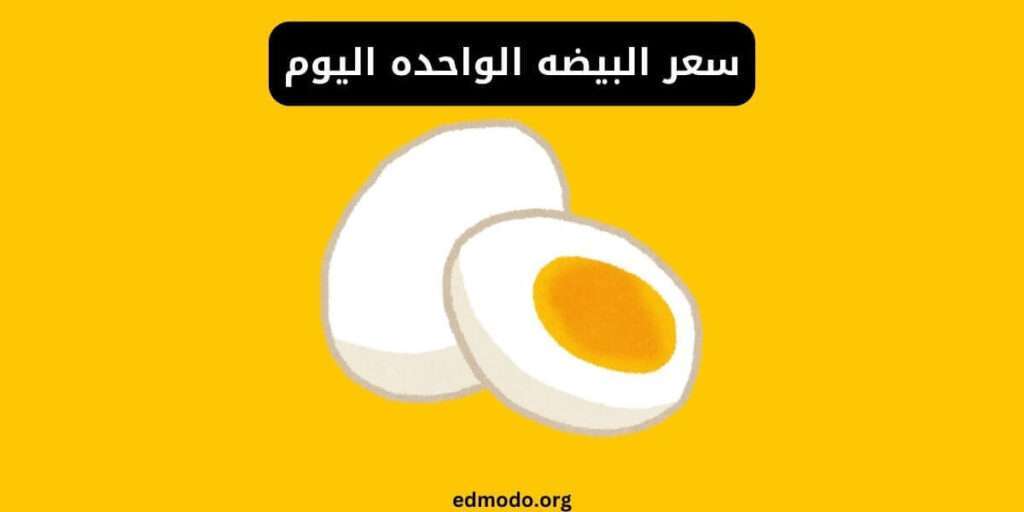 سعر البيضه الواحده اليوم