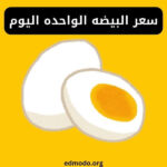 سعر البيضه الواحده اليوم