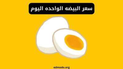 سعر البيضه الواحده اليوم