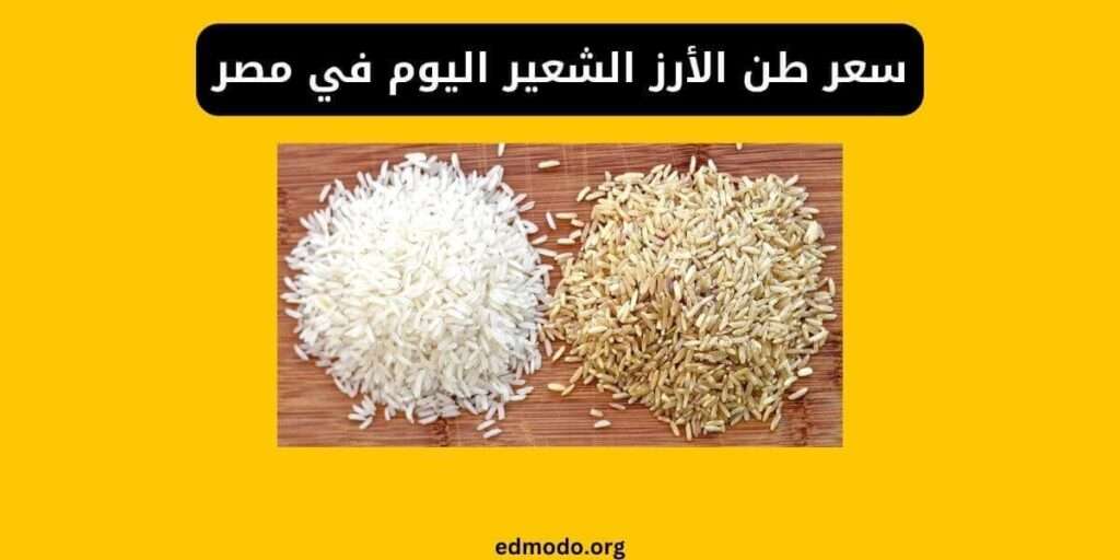 سعر طن الأرز الشعير اليوم في مصر - تحديث يومي