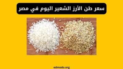 سعر طن الأرز الشعير اليوم في مصر - تحديث يومي