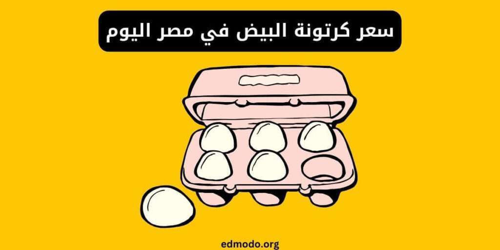سعر كرتونة البيض في مصر اليوم