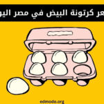 سعر كرتونة البيض في مصر اليوم