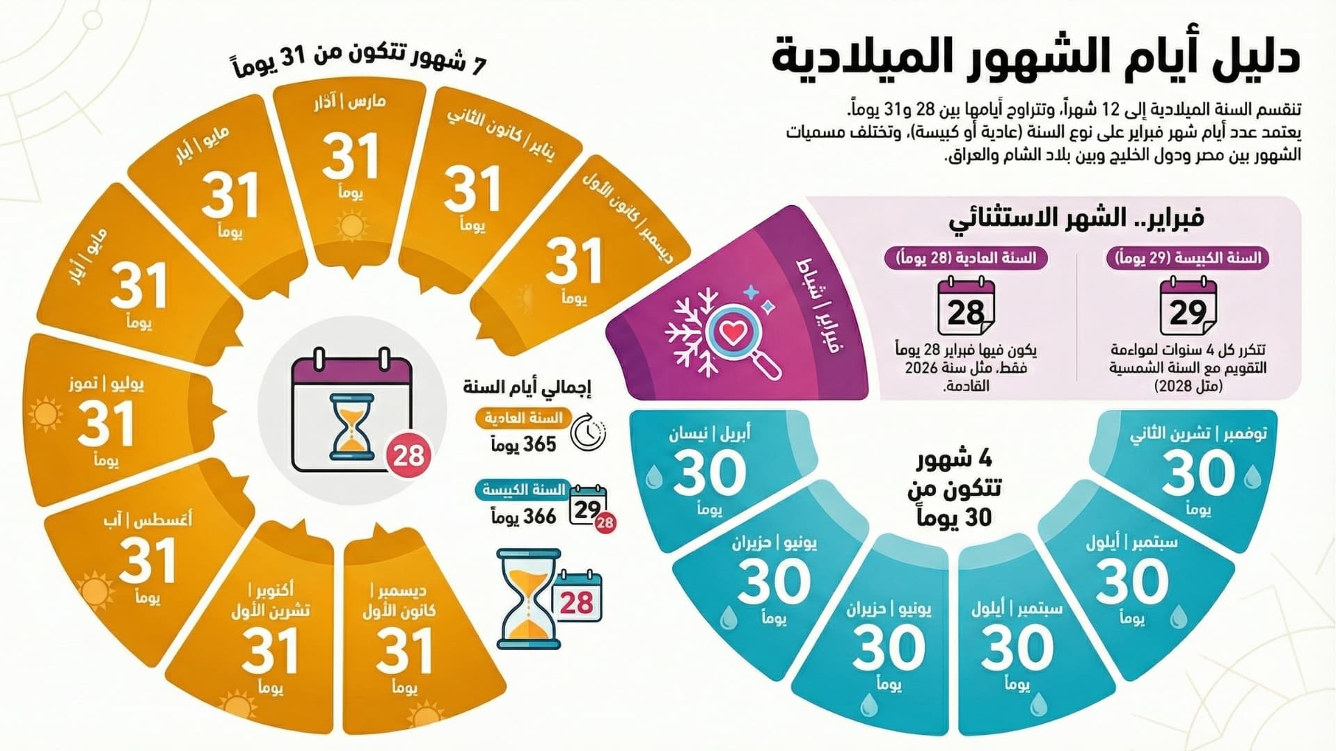 رسم توضيحي يبين عدد أيام كل شهر من الأشهر الميلادية
